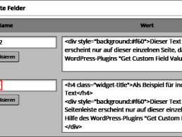 Get Custom Field Value